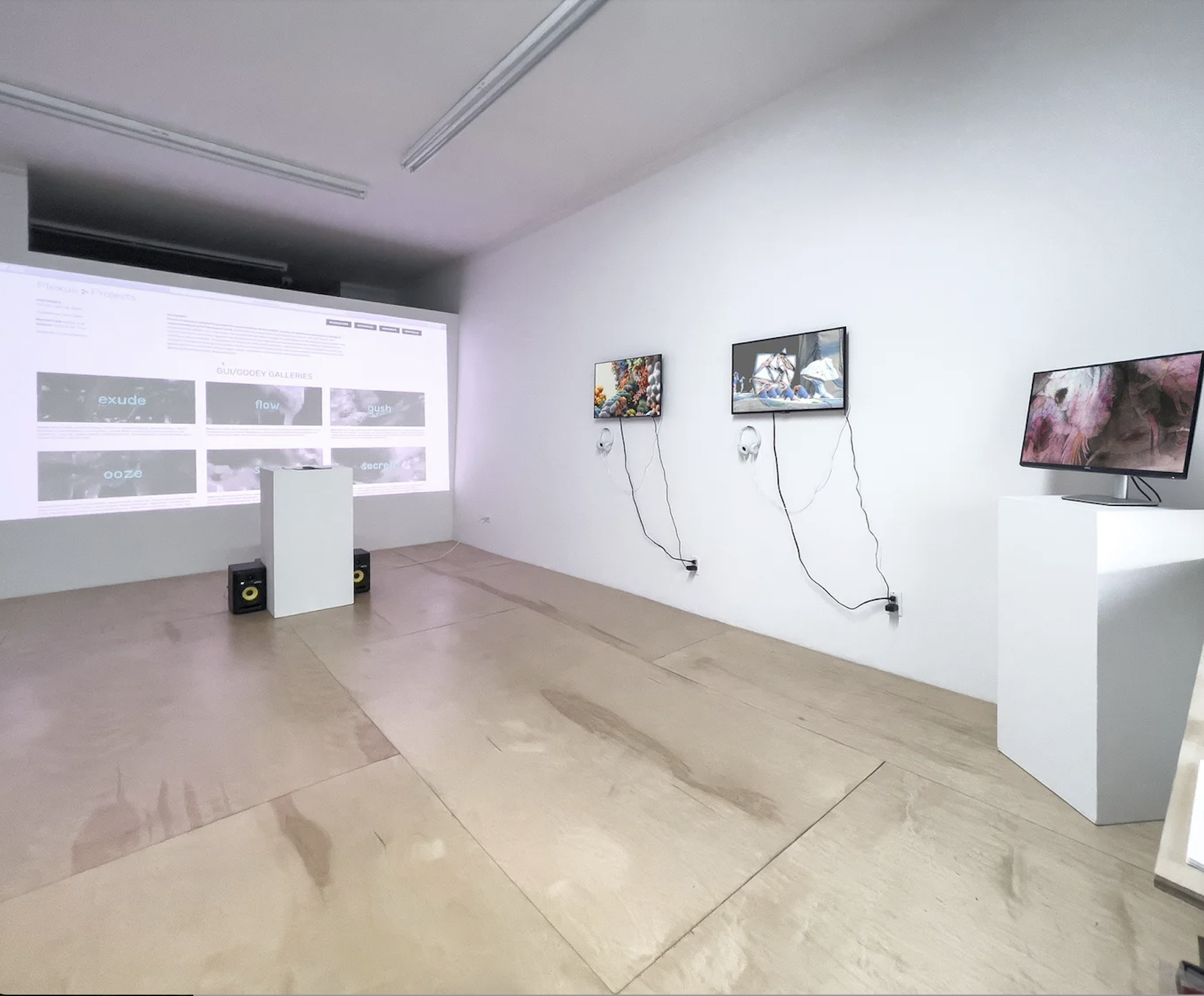 Biomorphic Confluence – Speculative Interspecies Networks | Gui-Gooey Physical + Digital Exhibit | Plexus Projects | Greenpoint, New York Oct 2024