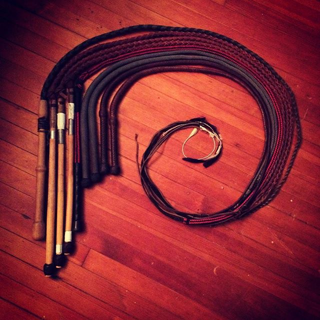 My whip collection. Still growing. #sideshow #whip #whipcracking