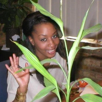 TAMMIKO BESS Executive Director