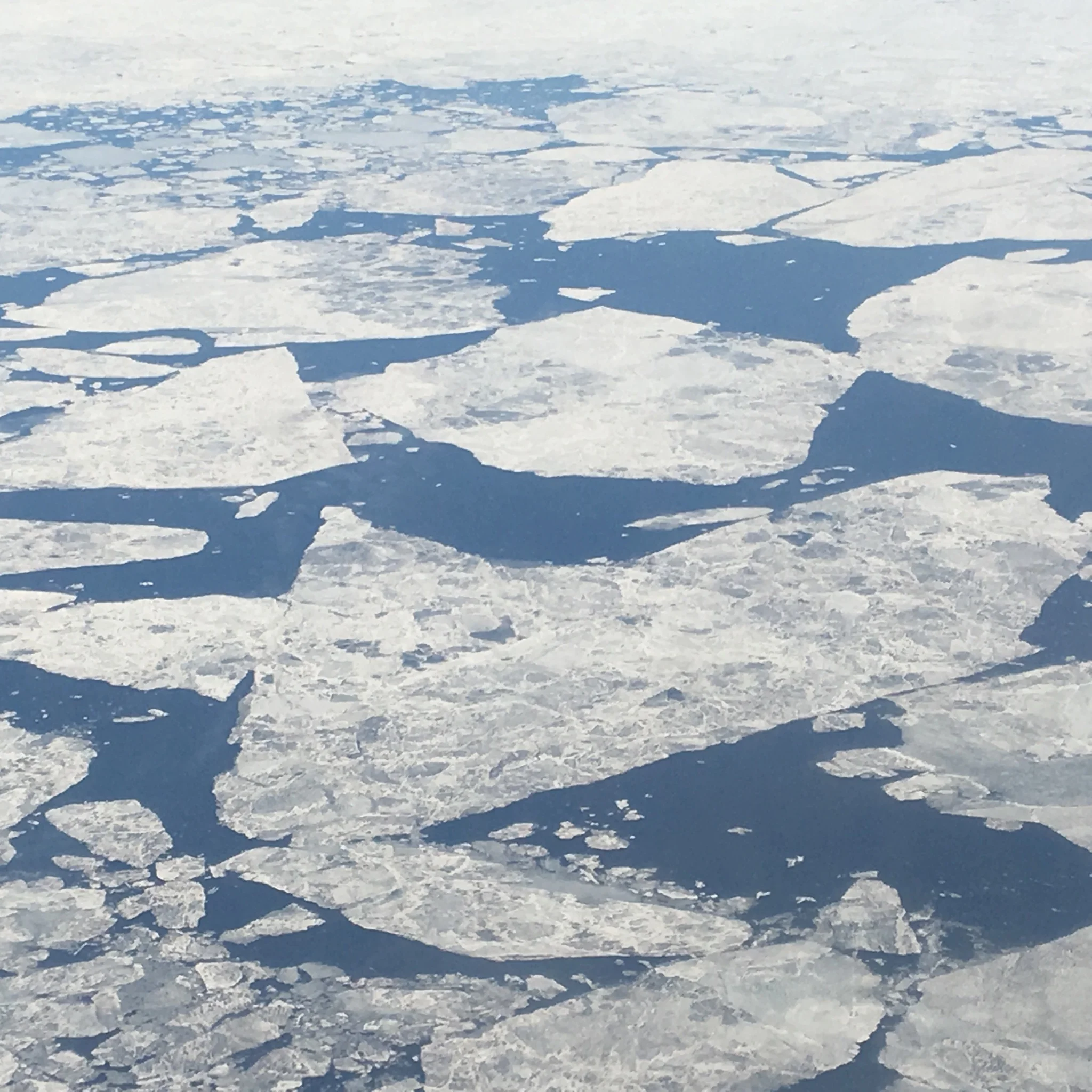 Thinning Arctic ice.jpg