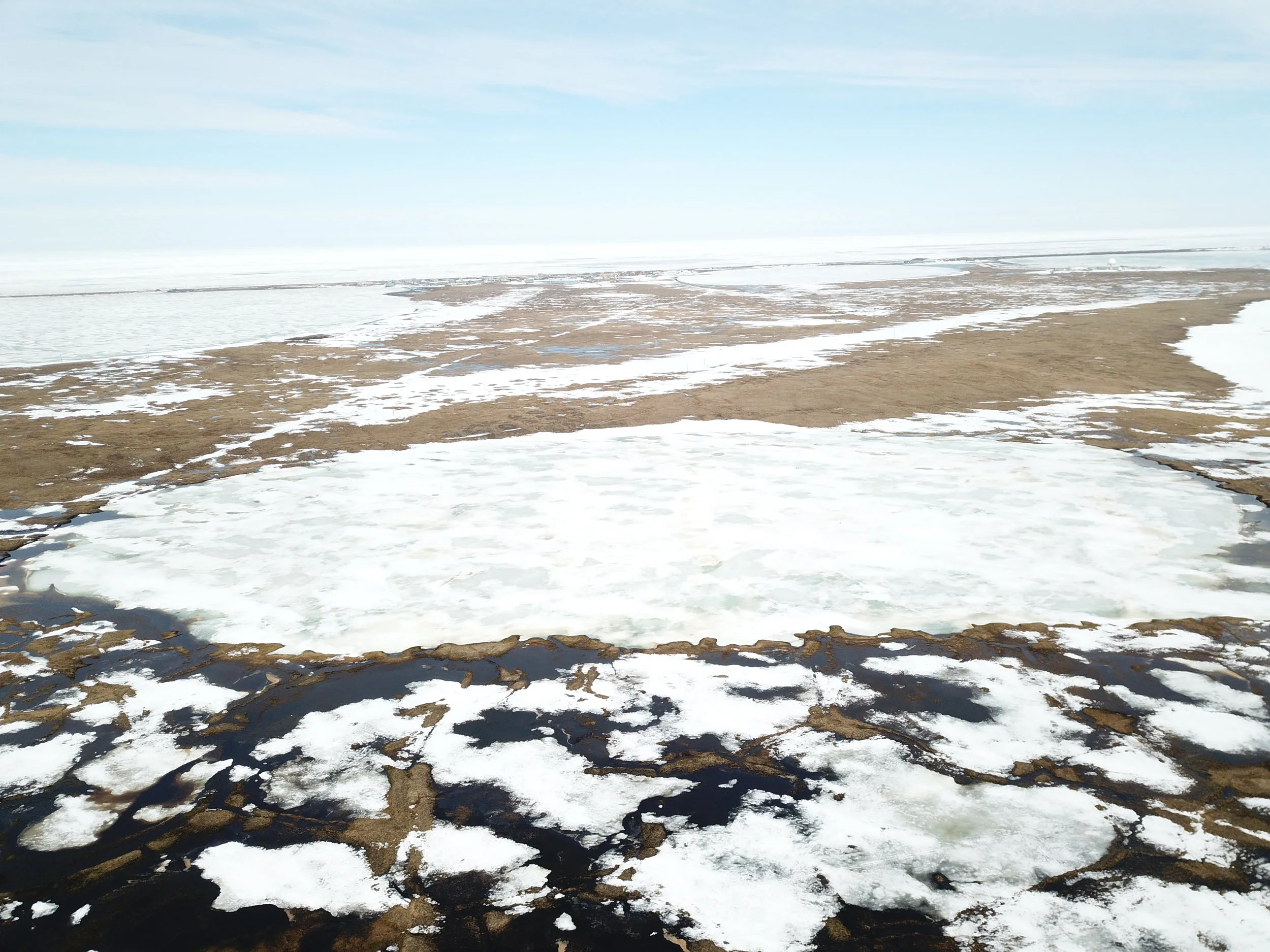 NMeadow_120m_formS_2.JPG