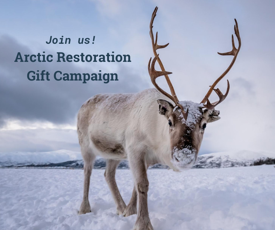 Arctic Restoration Gift Campaign.png