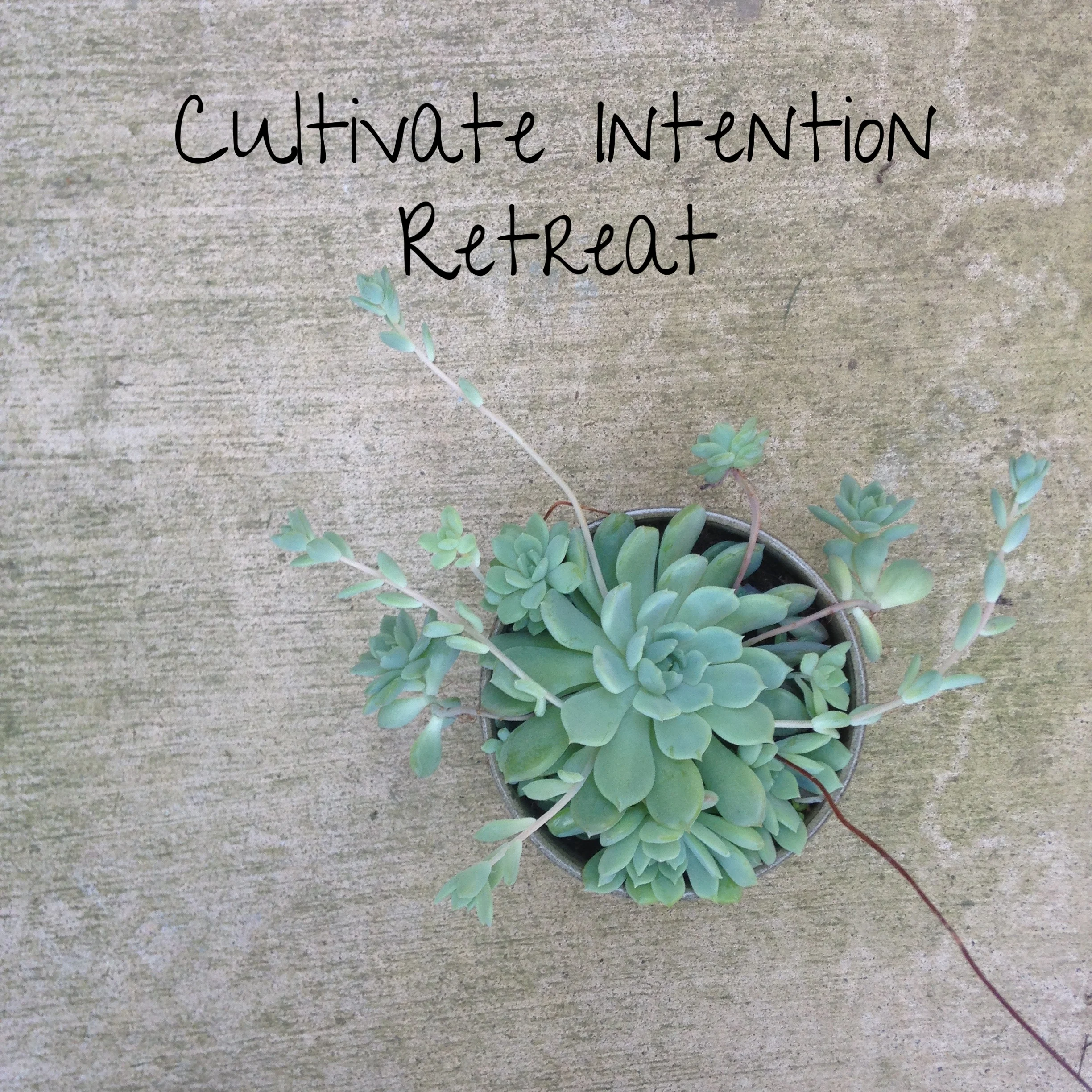 Cultivate Intention Retreat