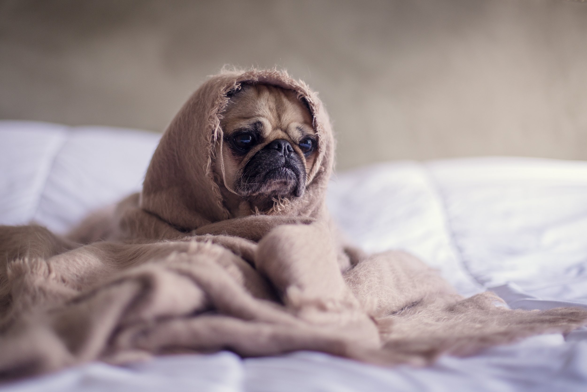 How to End the Chaos of Your Morning!