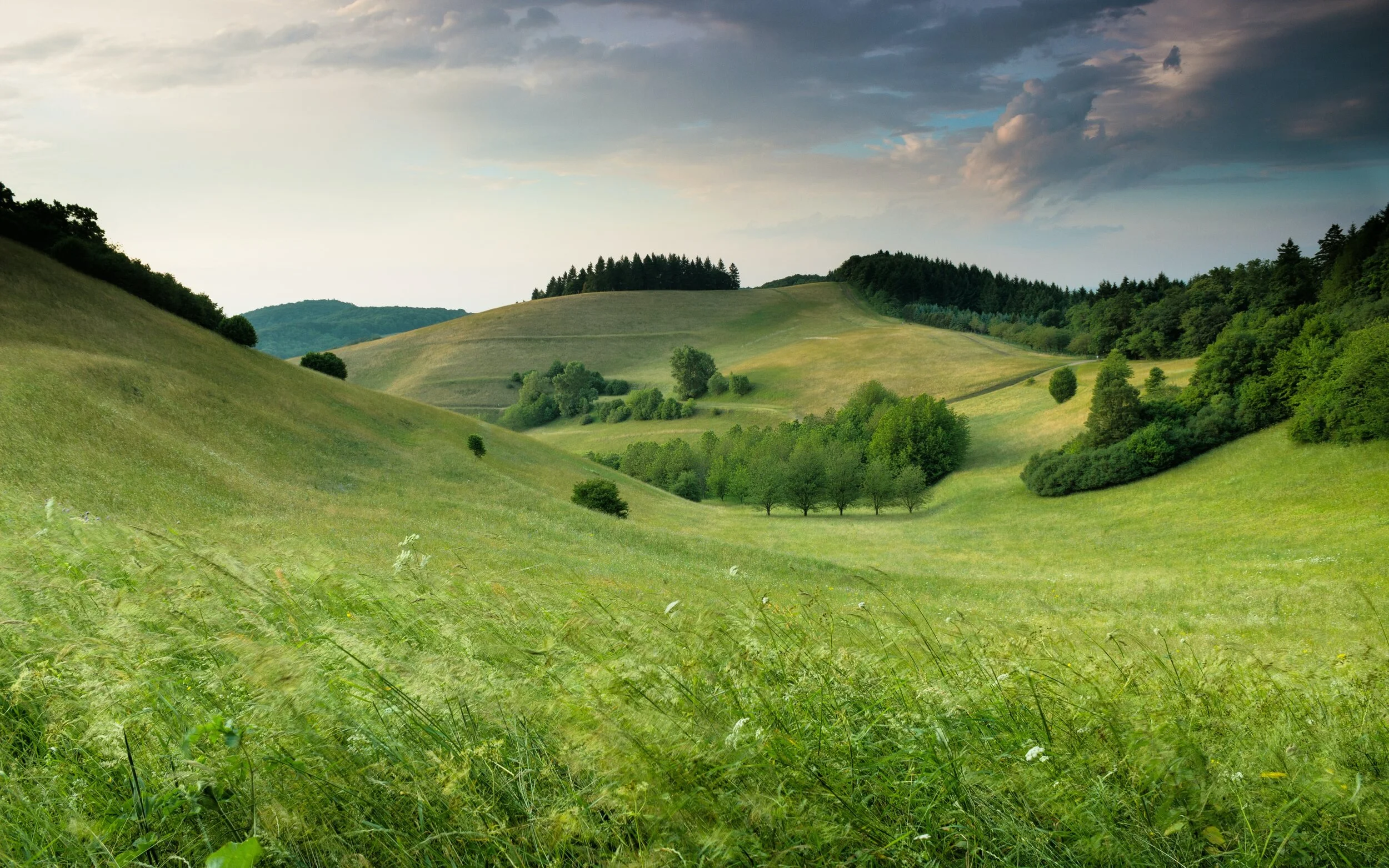 Is the grass really greener on the other side?