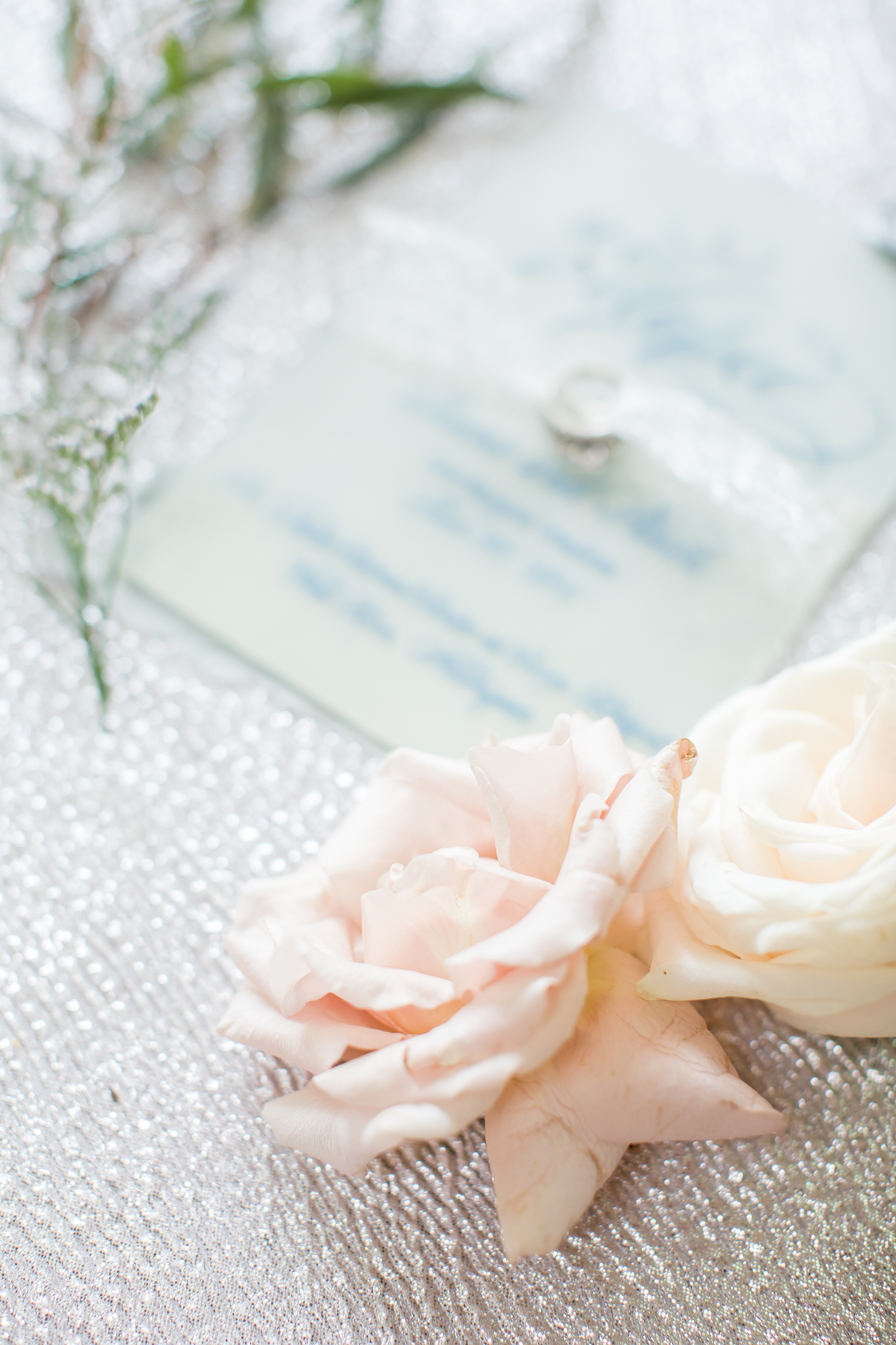 Styled Beach Elopement_Christina Leskovar Photography_The Loeks Retreat Center_Lake Michigan-151.jpg