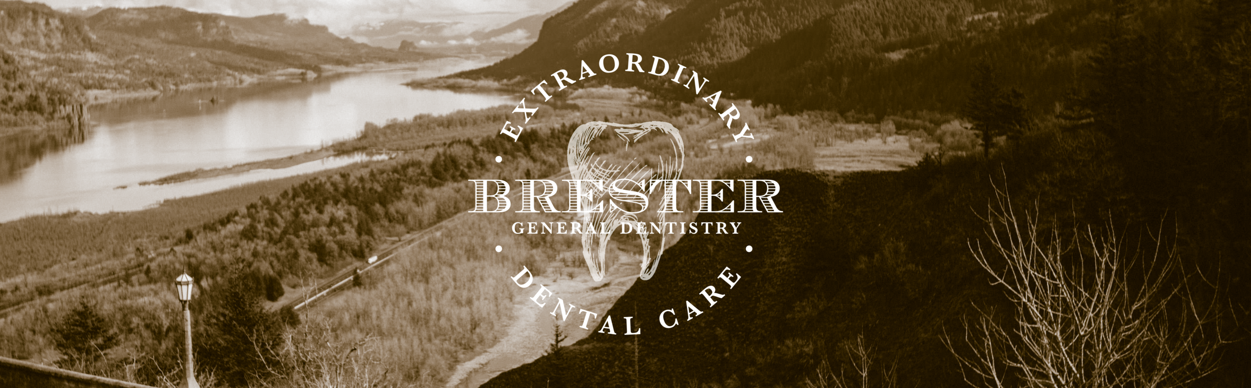 Updated Brester Web Header 3.png