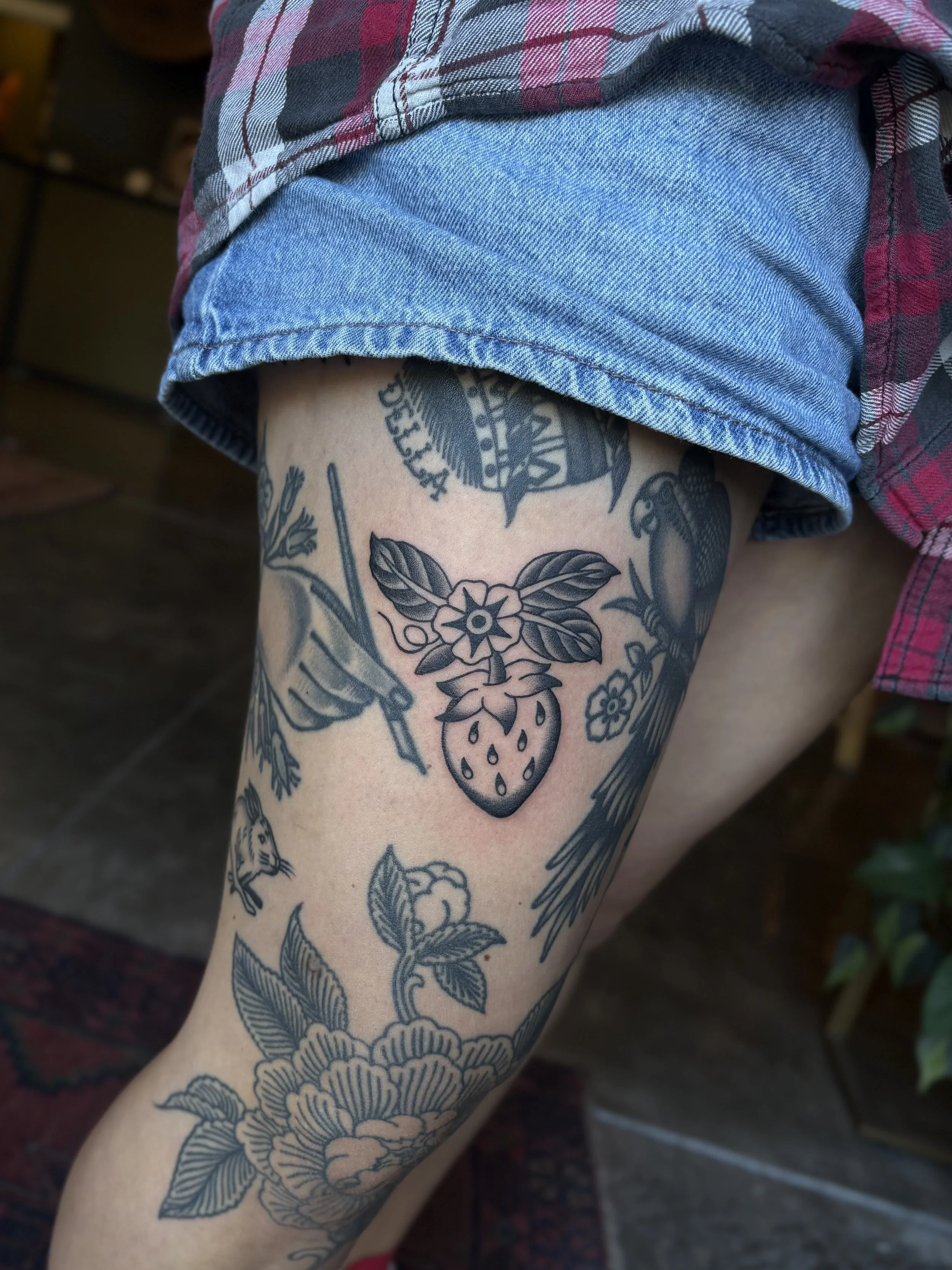 IMG_0366.jpeg