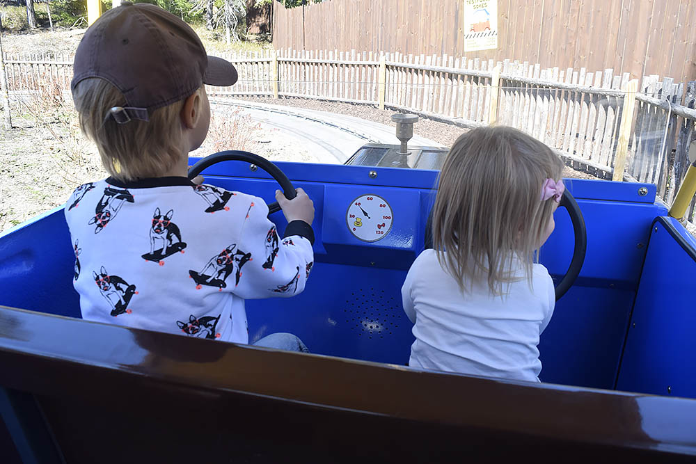 Bästa karusellen för en 1-åring; Skalmans bilar.