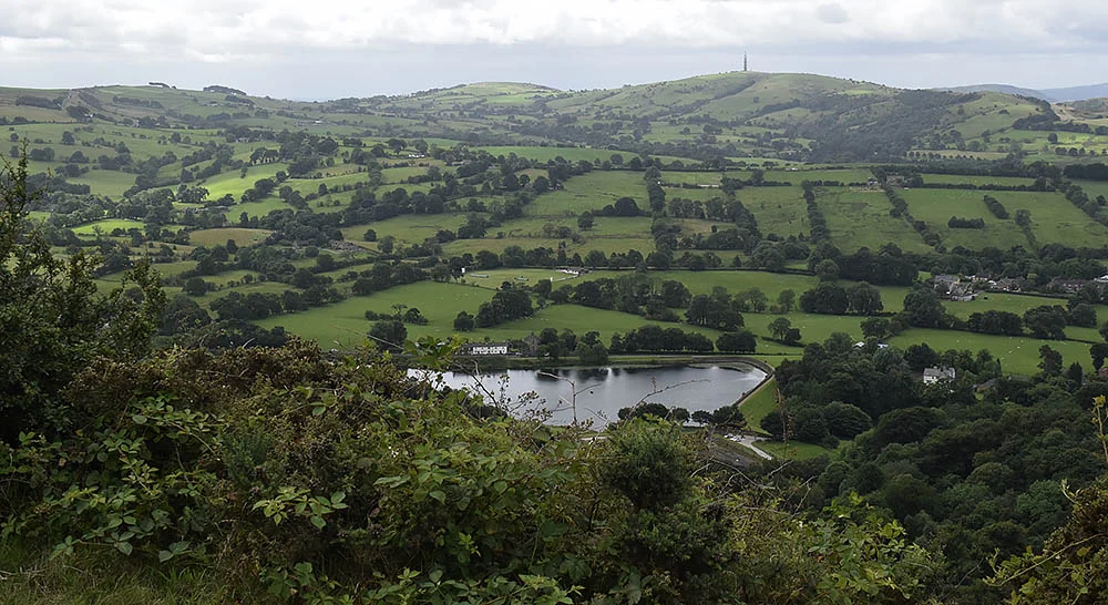 landscape.jpg