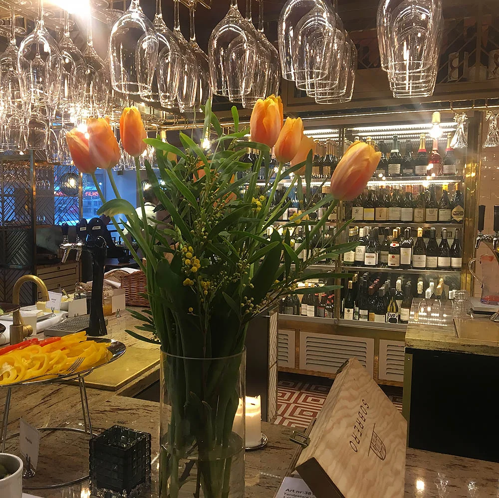 tulipshay.jpg