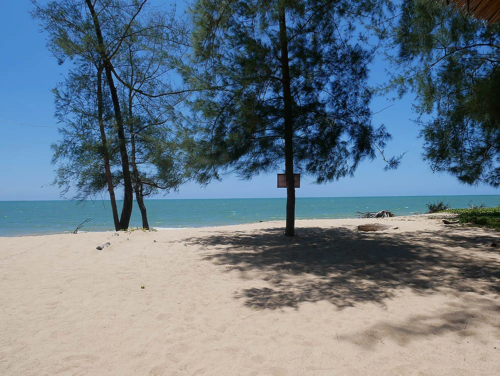 beach_mamas.jpg