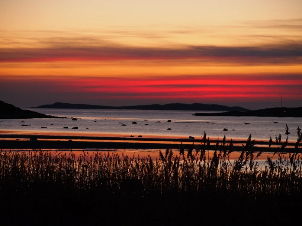 sunset-2439042_1280.jpg