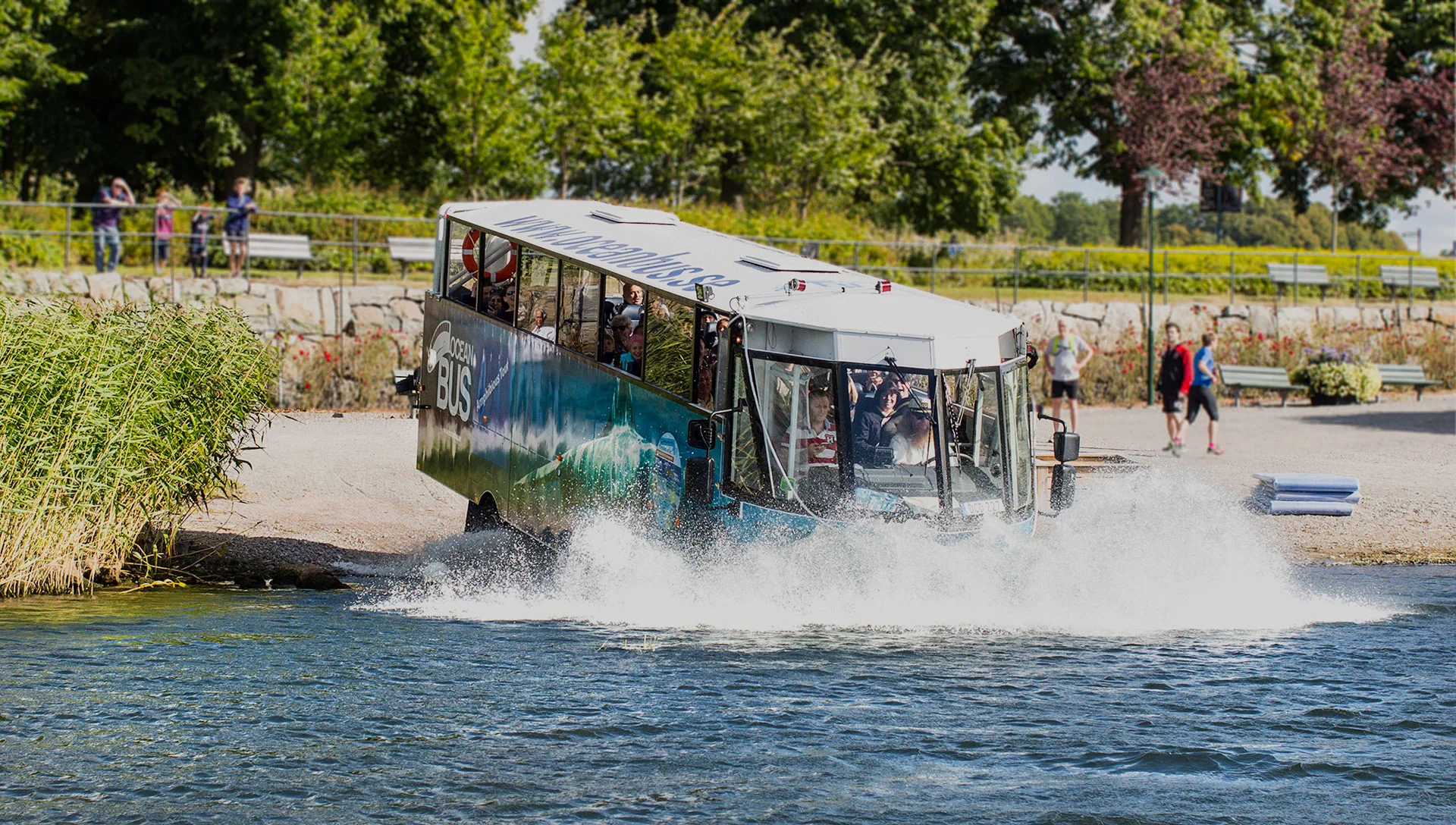 buss.jpg