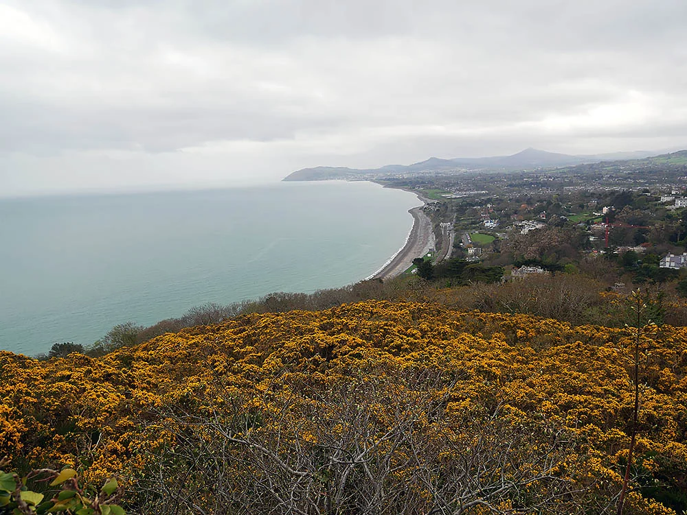 killineyhll.jpg