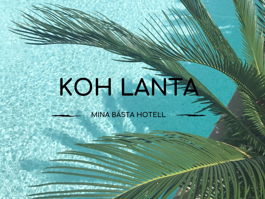 koh_lanta(2).jpg