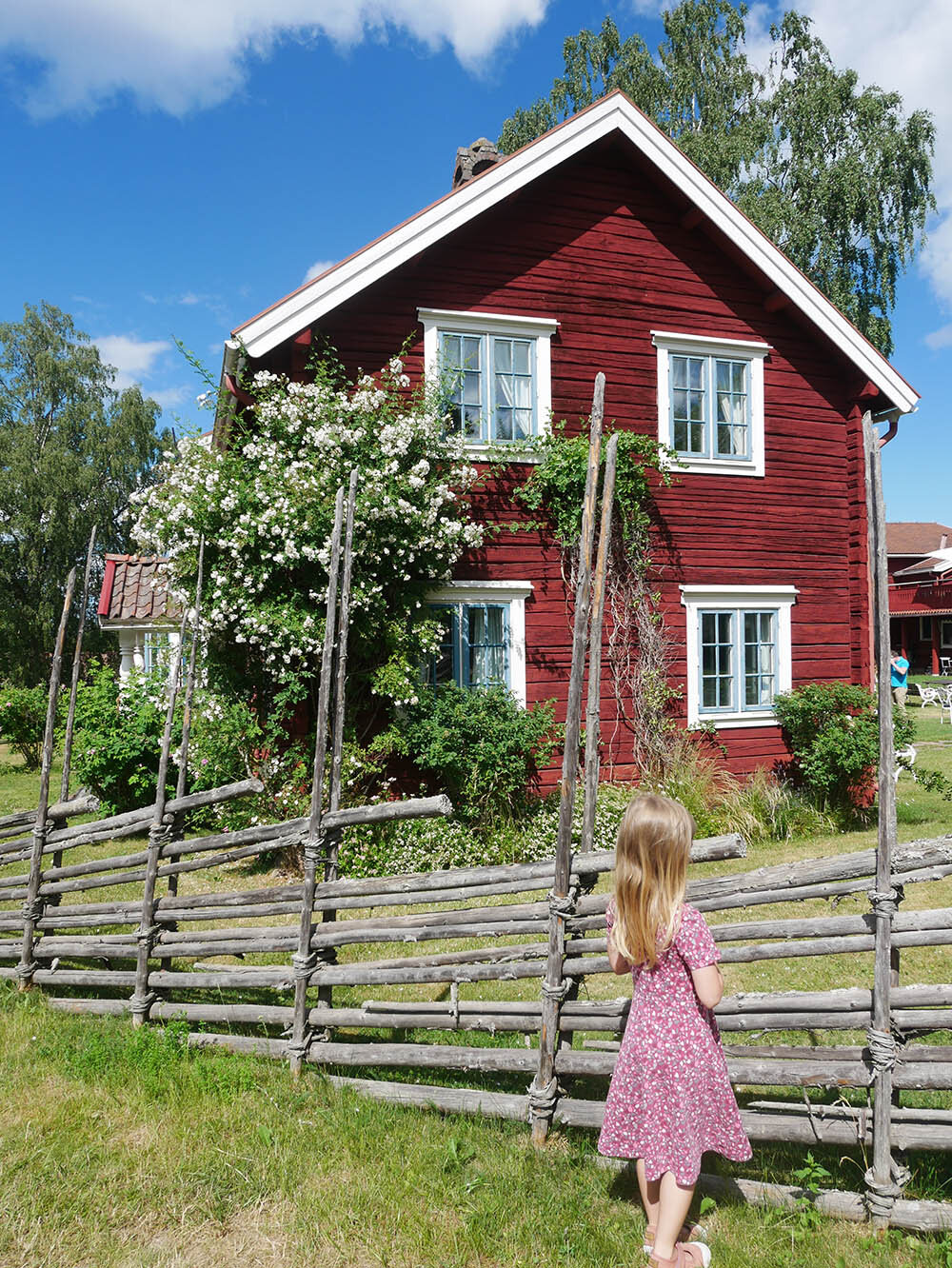 dalarna_barn.jpg