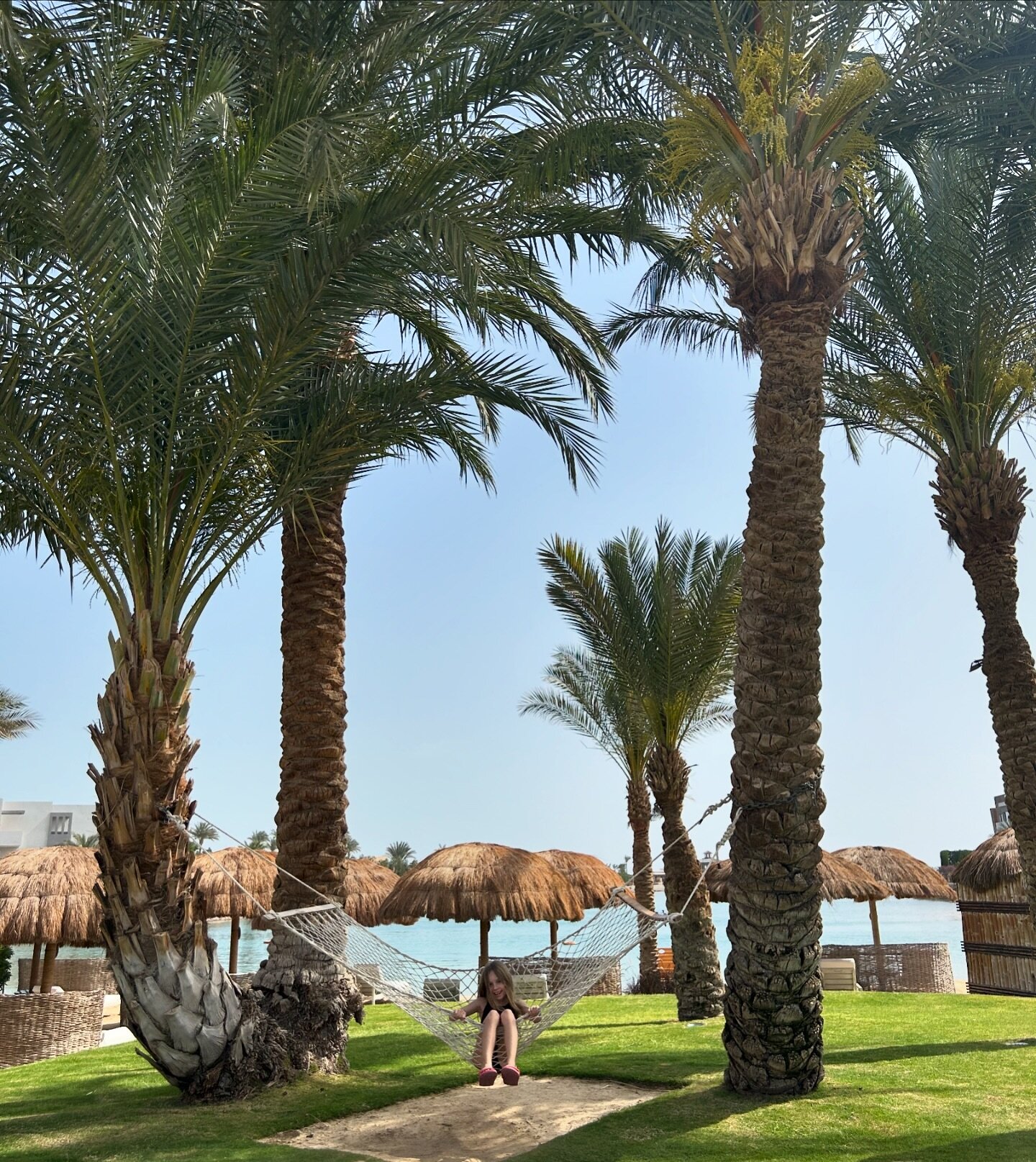 I &aring;r bytte vi p&aring;skris mot palmer 🌴
#tuibluecrystalbay#egypten#palmer#resamedbarn#travel#egypt#palmtrees