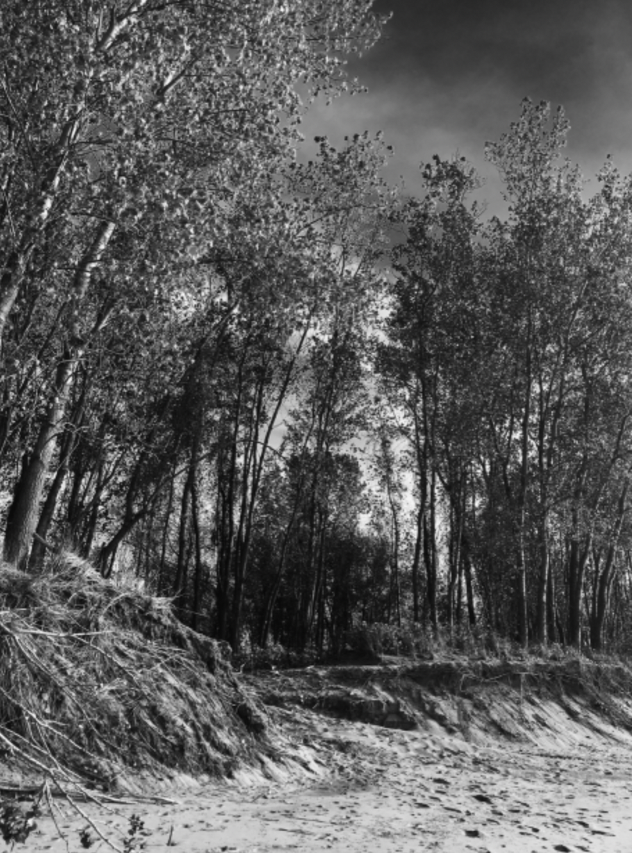 Provincial Photo Inspiration