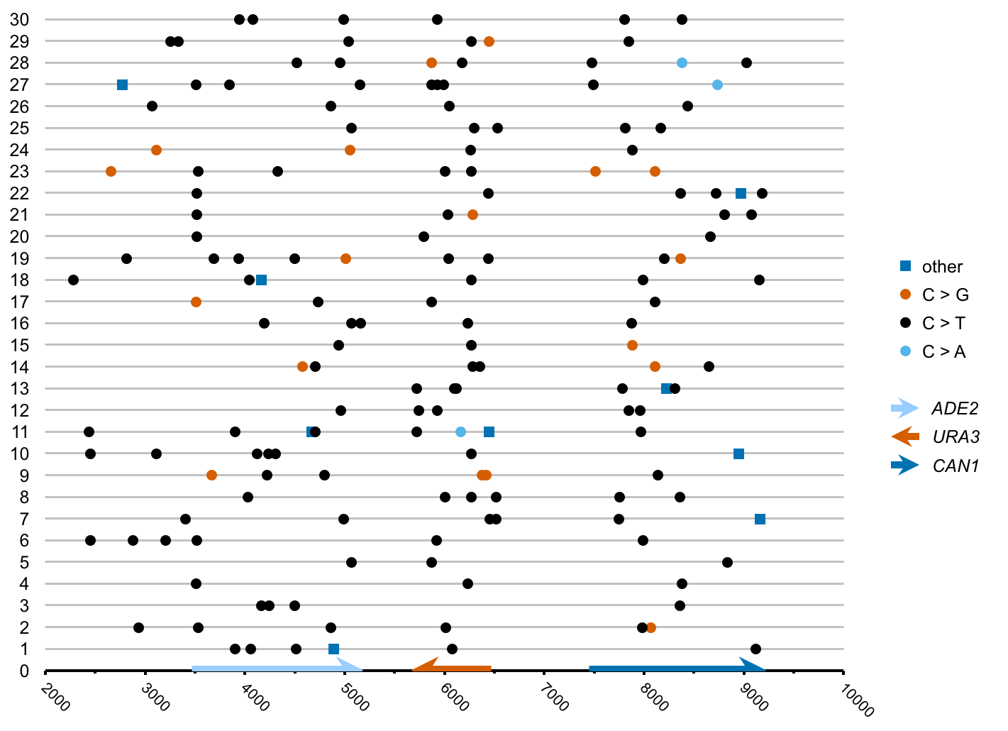 Sulfites are used as a food preservative, including in many wines. Sulfites are not reactive enough to damage double-strand DNA appreciably, but can induce clusters of closely-spaced mutations in single-strand DNA. 30 sequenced mutation clusters induced by suflites exposure are shown here. The base positions into unique sub-telomeric DNA sequence are shown on the horizontal axis. Most mutations induced by sulfites are C (cytosine) to T (thymine) transitions. From Chan et al. , PLOS Genetics 2012.