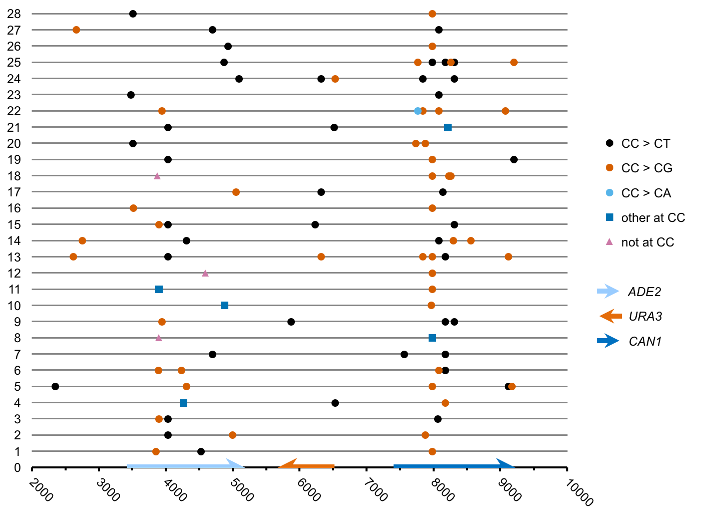 APOBEC3G is an immune system enzyme that tends to mutate the 3
96
Normal
0
false
false
false
EN-US
X-NONE
X-NONE
/* Style Definitions */
table.MsoNormalTable
{mso-style-name:"Table Normal";
mso-tstyle-rowband-size:0;
mso-tstyle-colband-size:0;
mso-style-noshow:yes;
mso-style-priority:99;
mso-style-parent:"";
mso-padding-alt:0in 5.4pt 0in 5.4pt;
mso-para-margin:0in;
mso-para-margin-bottom:.0001pt;
mso-pagination:widow-orphan;
font-size:12.0pt;
font-family:"Times New Roman";
mso-bidi-font-family:"Times New Roman";
mso-bidi-theme-font:minor-bidi;} ' C in a CC dinucleotide motif. Similar to sulfites, APOBEC3G is essentially inert toward double-strand DNA but can readily create mutation clusters in single-strand DNA. Notice however, that APOBEC3G induces a roughly equal mix of C to T transitions and C to G (guanine) transversions. This base substitution pattern recapitulates observations from cancers, where TC motif-targeting APOBEC enzymes can create many thousands of mutations per tumor. From Chan et al. , PLOS Genetics 2012.