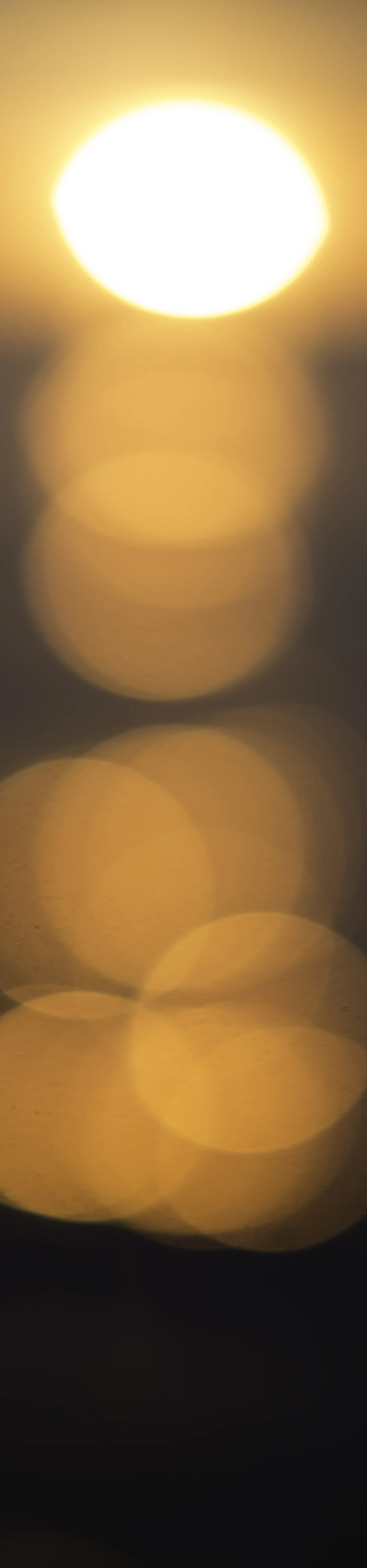MosheQuinn_sunfall-02.jpg