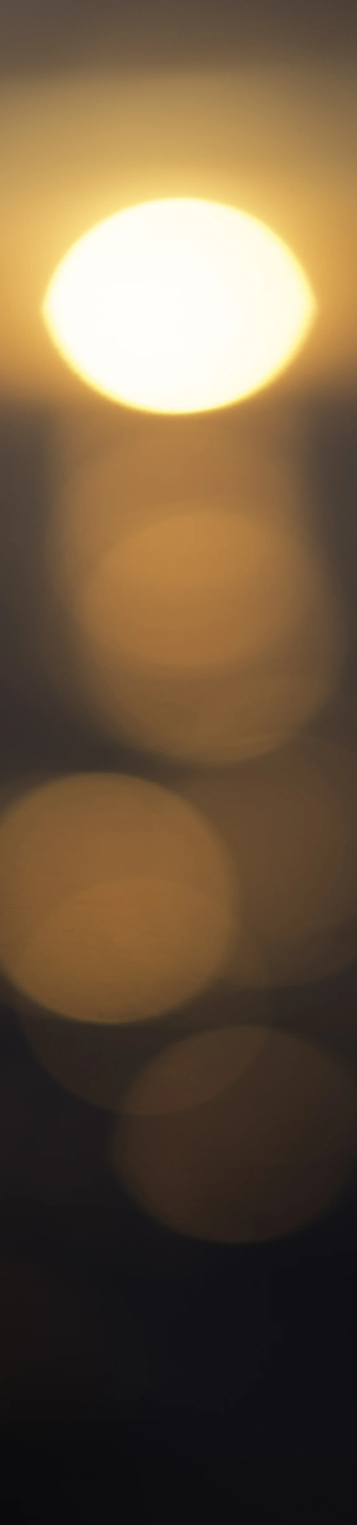 MosheQuinn_sunfall-05.jpg