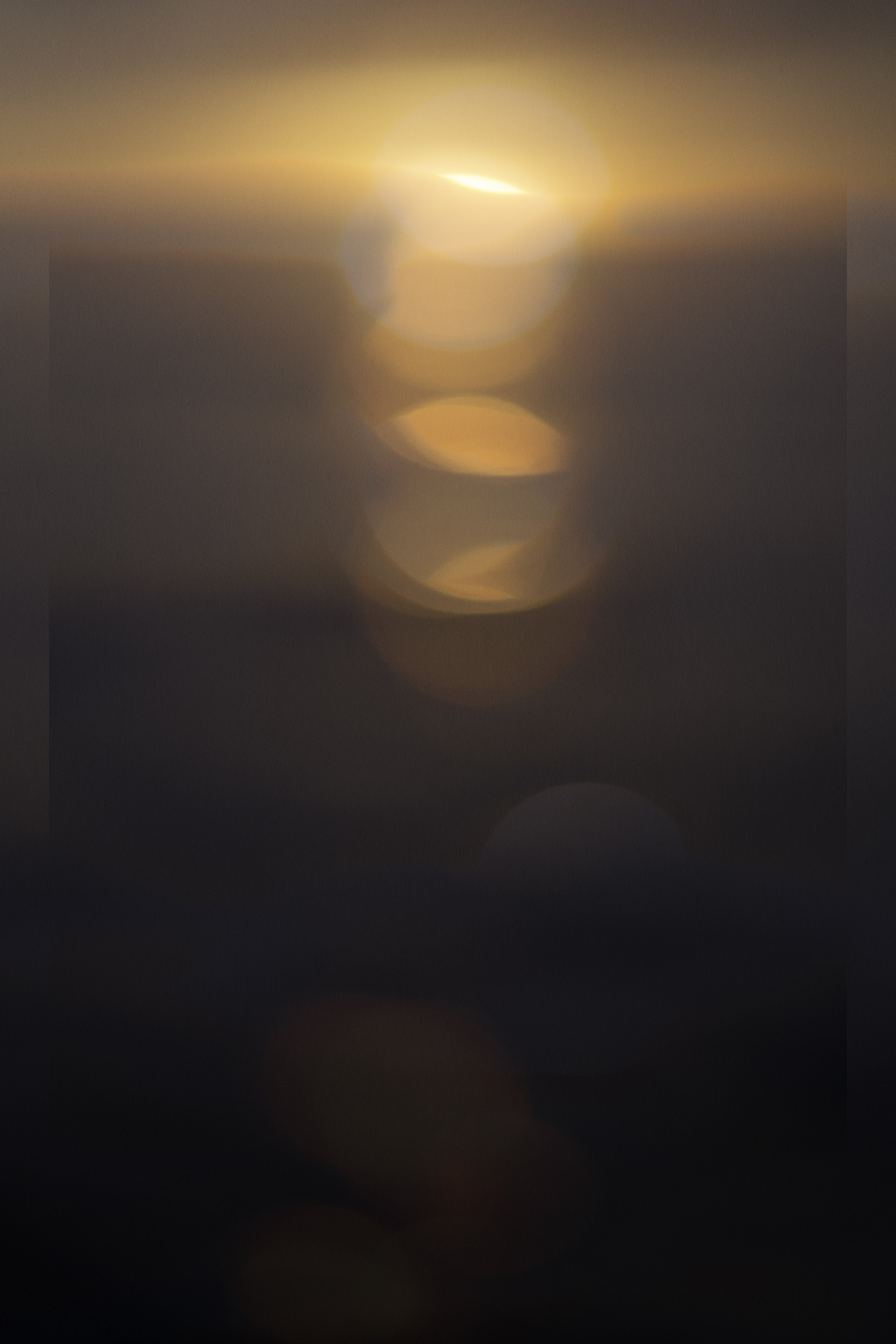 Whale Watching, 2013/24