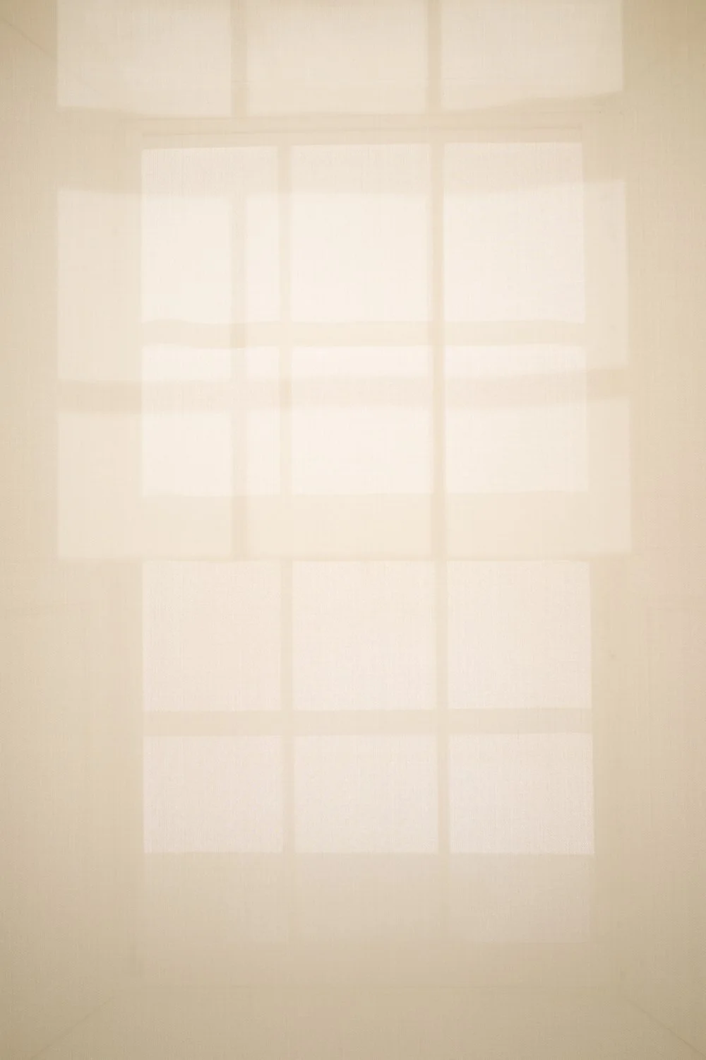 1010.16
