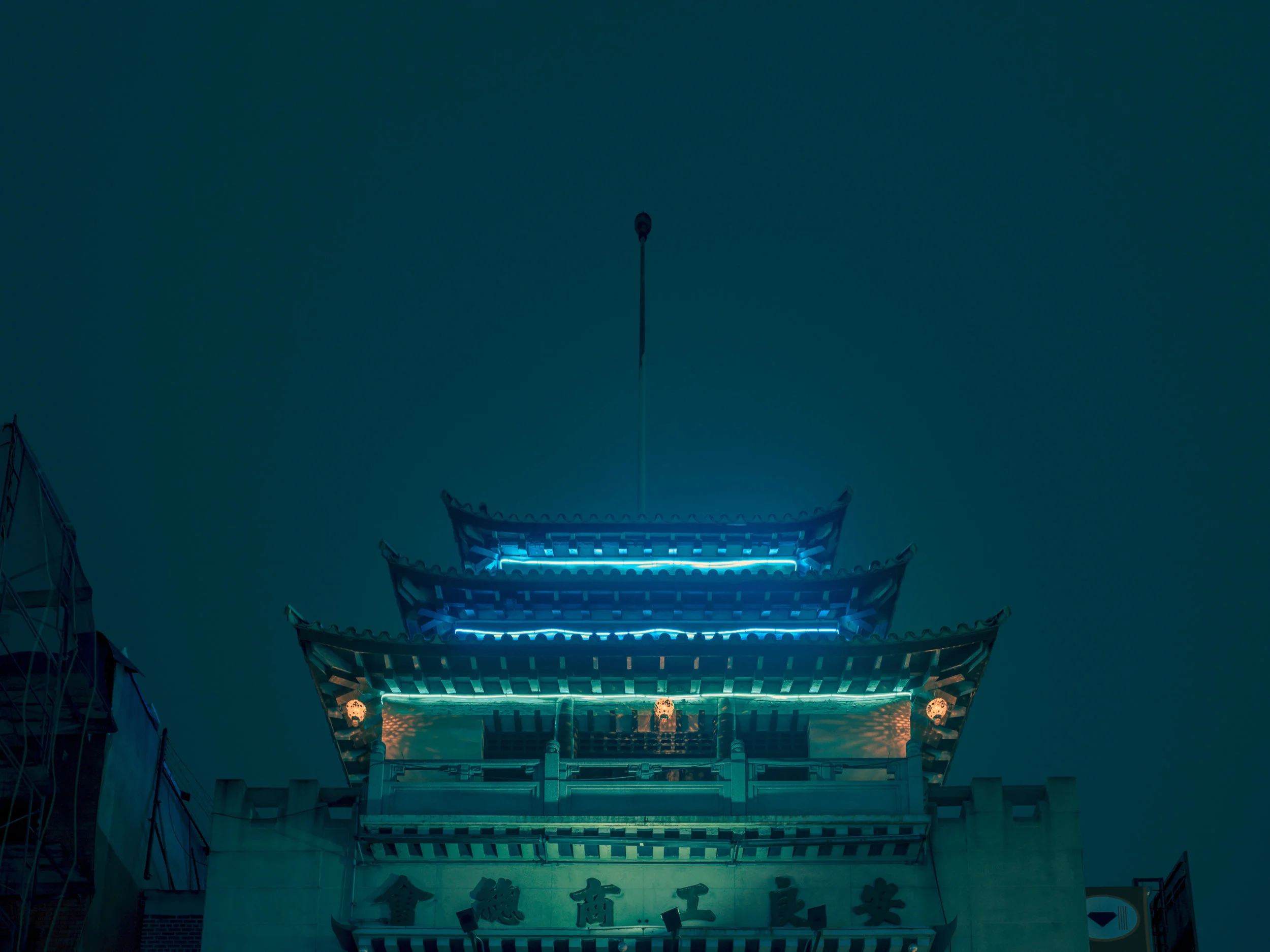 The house, 2014.jpg