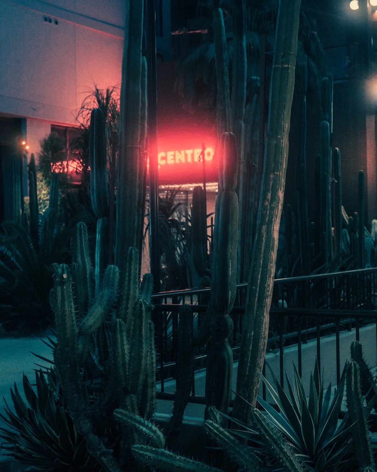 Centro (2019).jpg