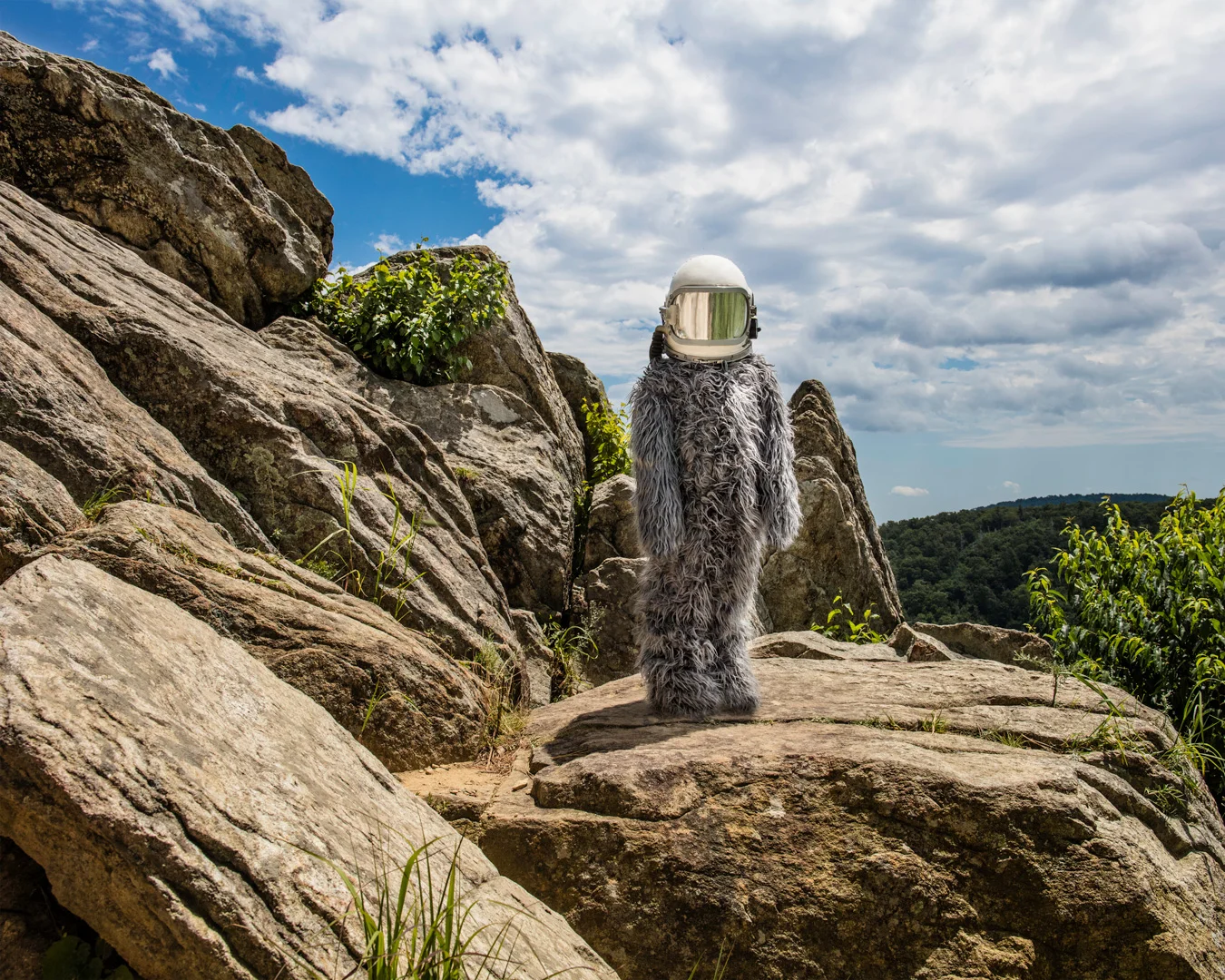 Shenandoah Forest, VA