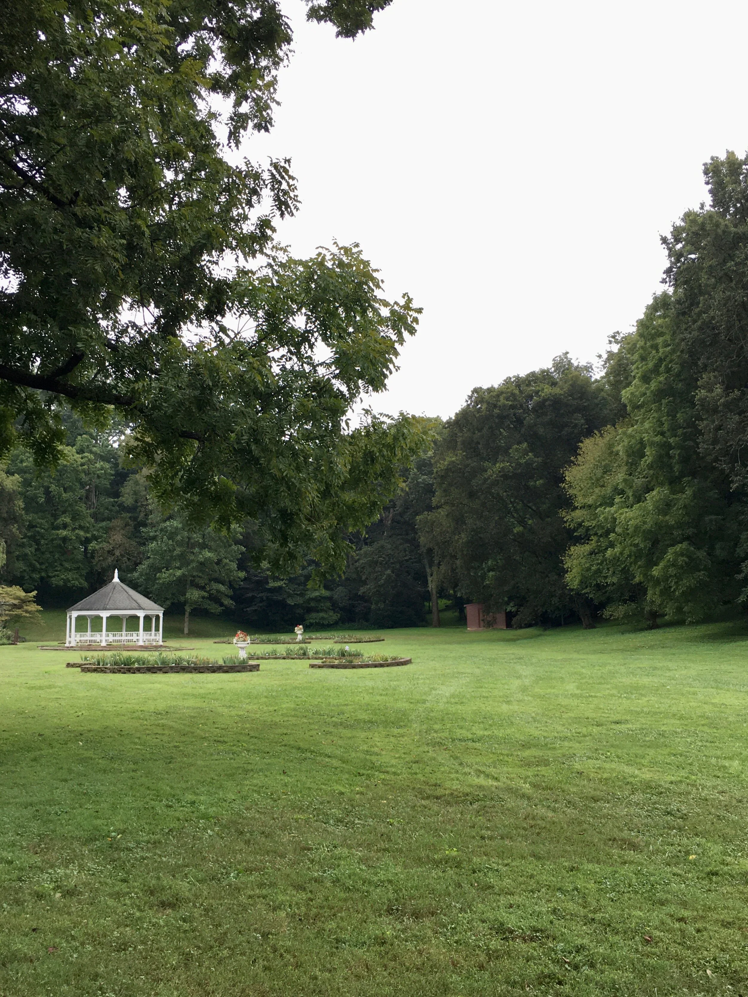 Book Discussions and Picnic Dinners | Chapter 1