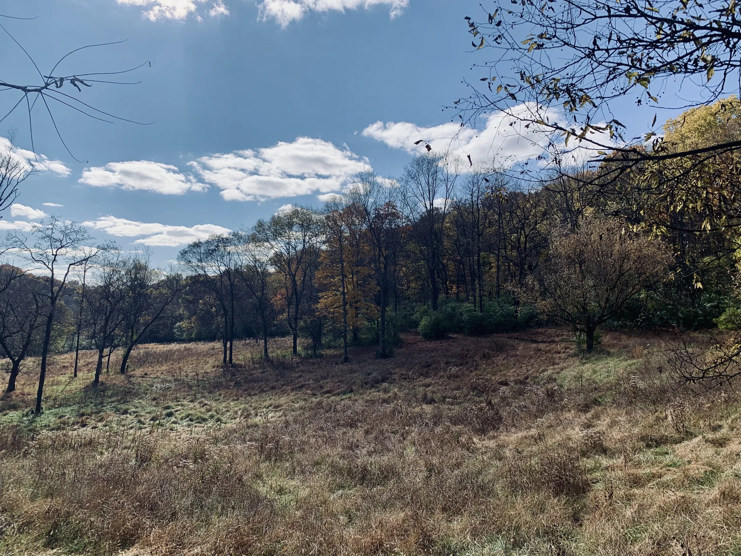 Worship Service | Proper 28  