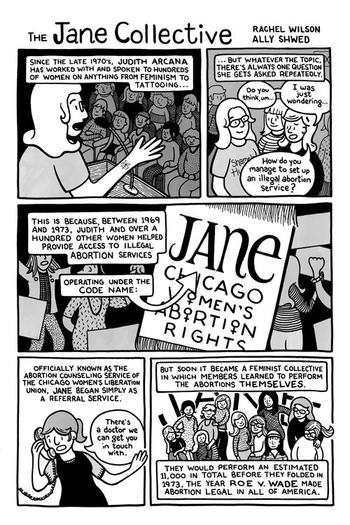 Excerpt from "The Jane Collective" by Rachel Wilson and Ally Shwed