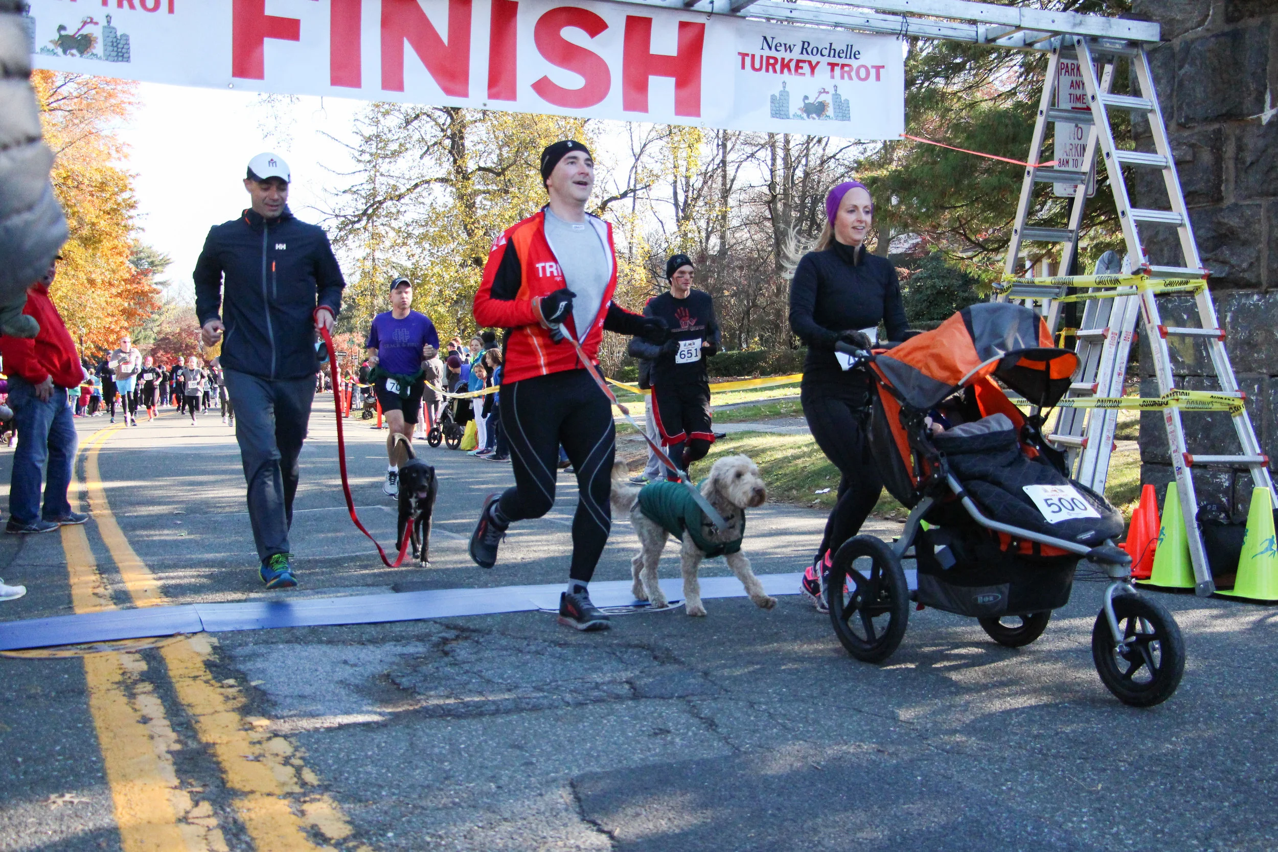 #1 & #2 Dog Finishers