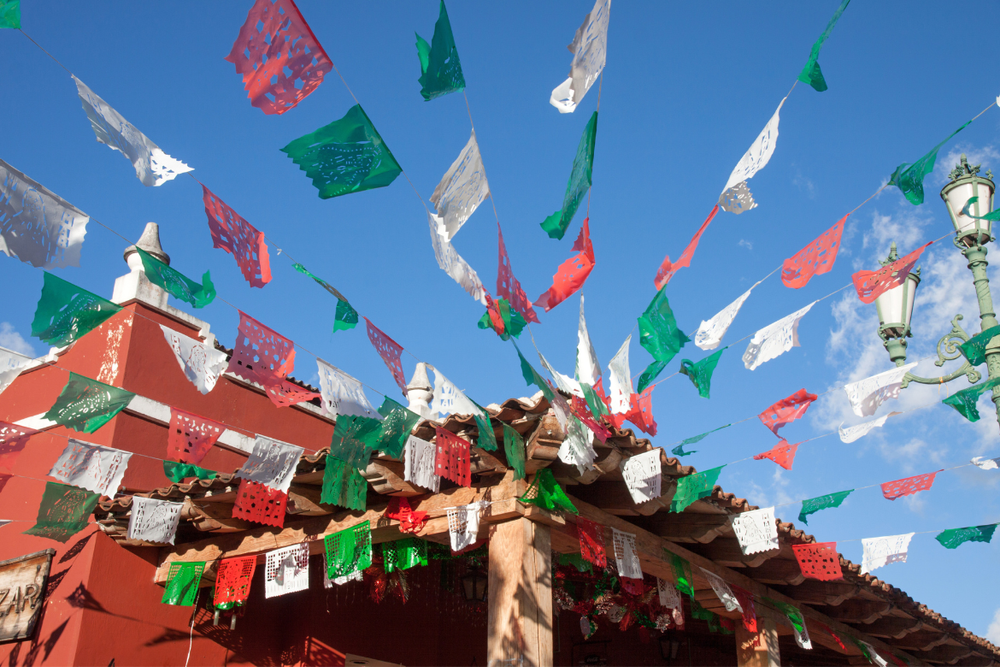 New Rochelle Turkey Trot — Giving You More Miles