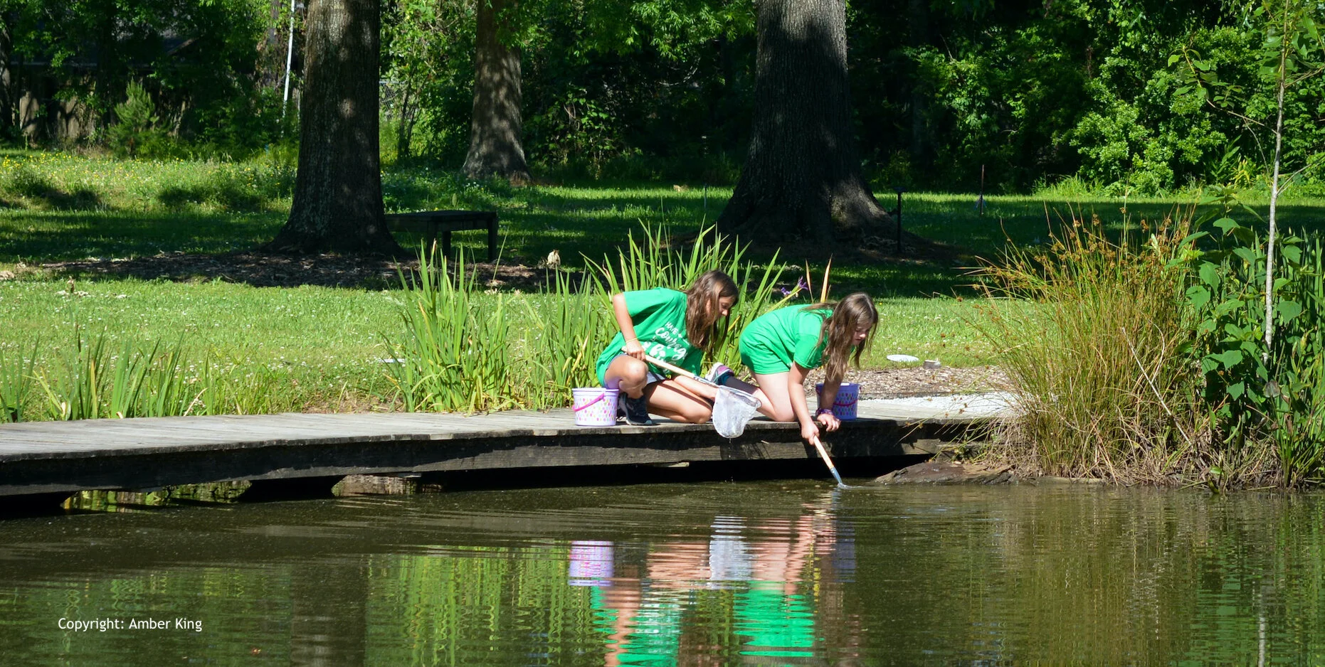 using nets in hilltop pond.jpg