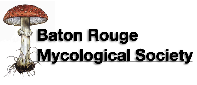 Baton Rouge Mycological Society