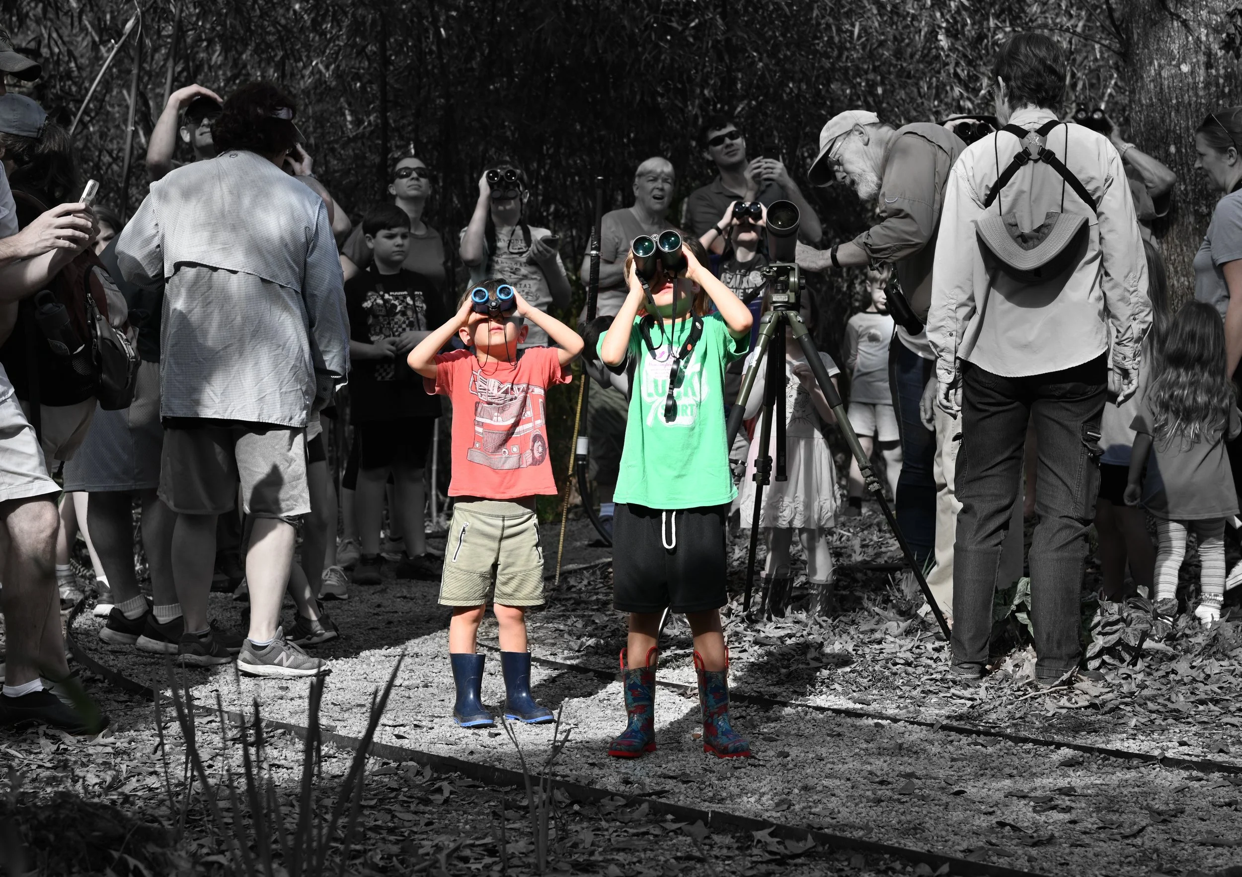 Binocular boys-1.jpg