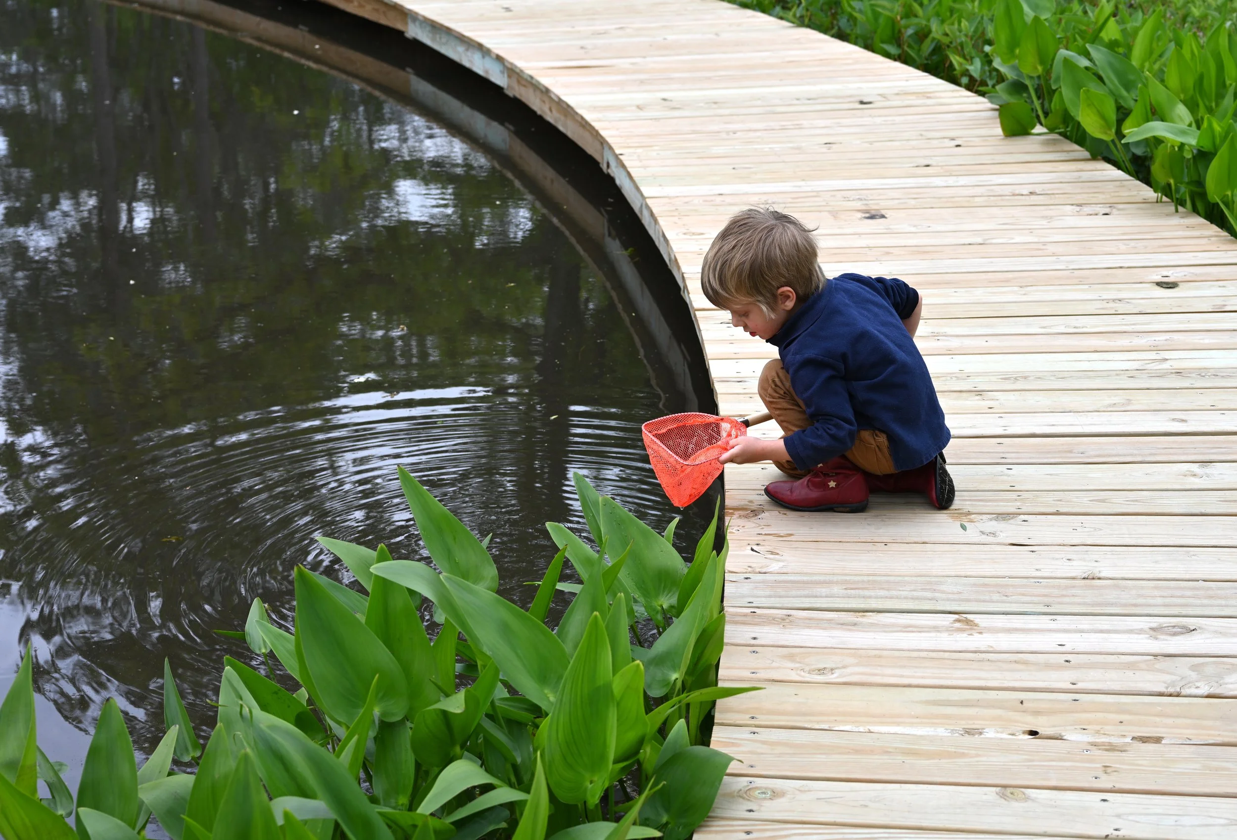 CNC aquatic insects.JPG