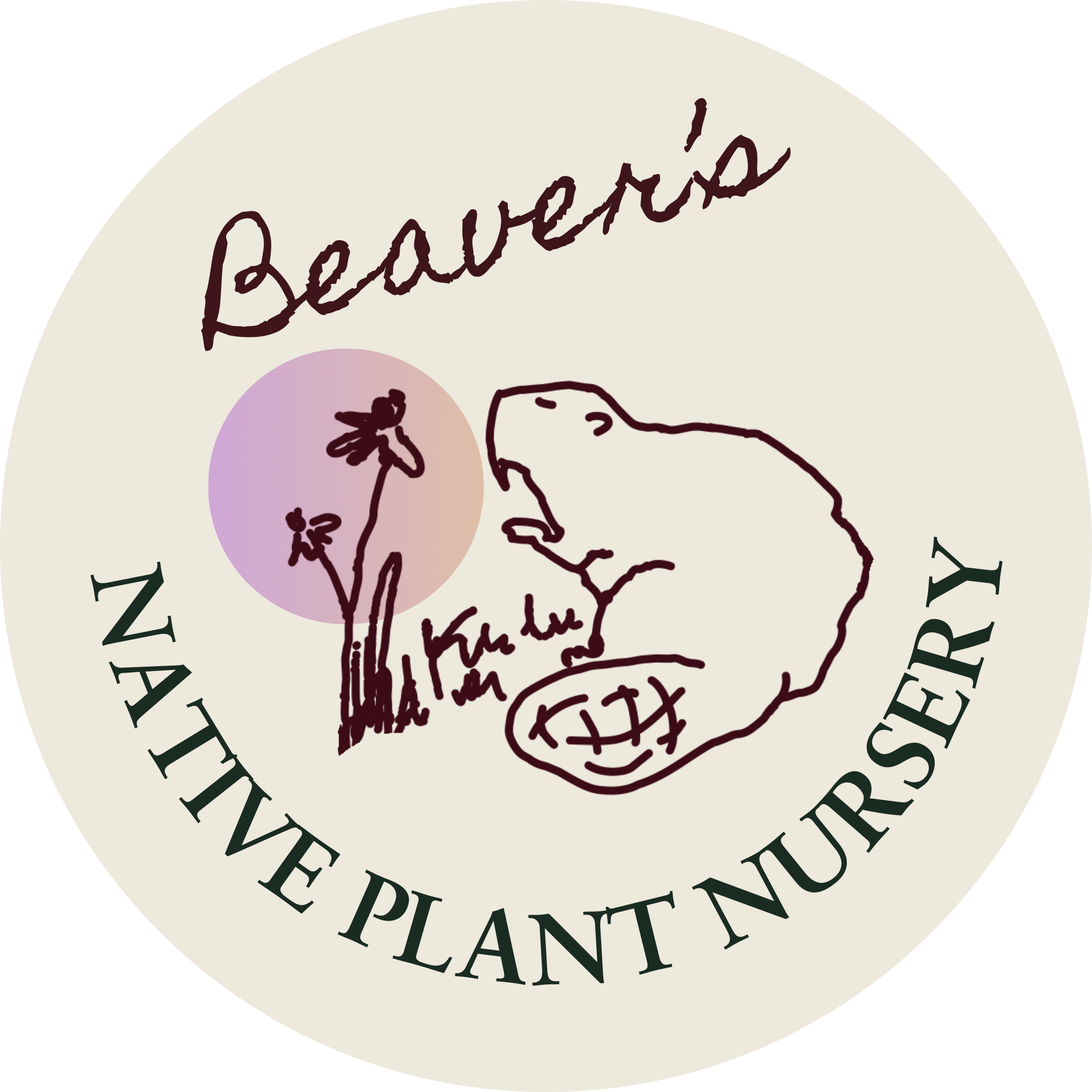 Beaver's Abundance Native Plant Nursery