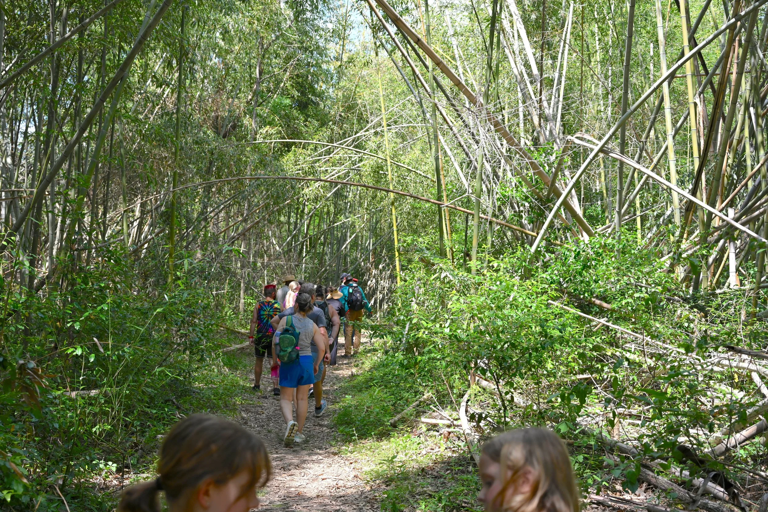 BREC hike at Frenchtown Conservation Area