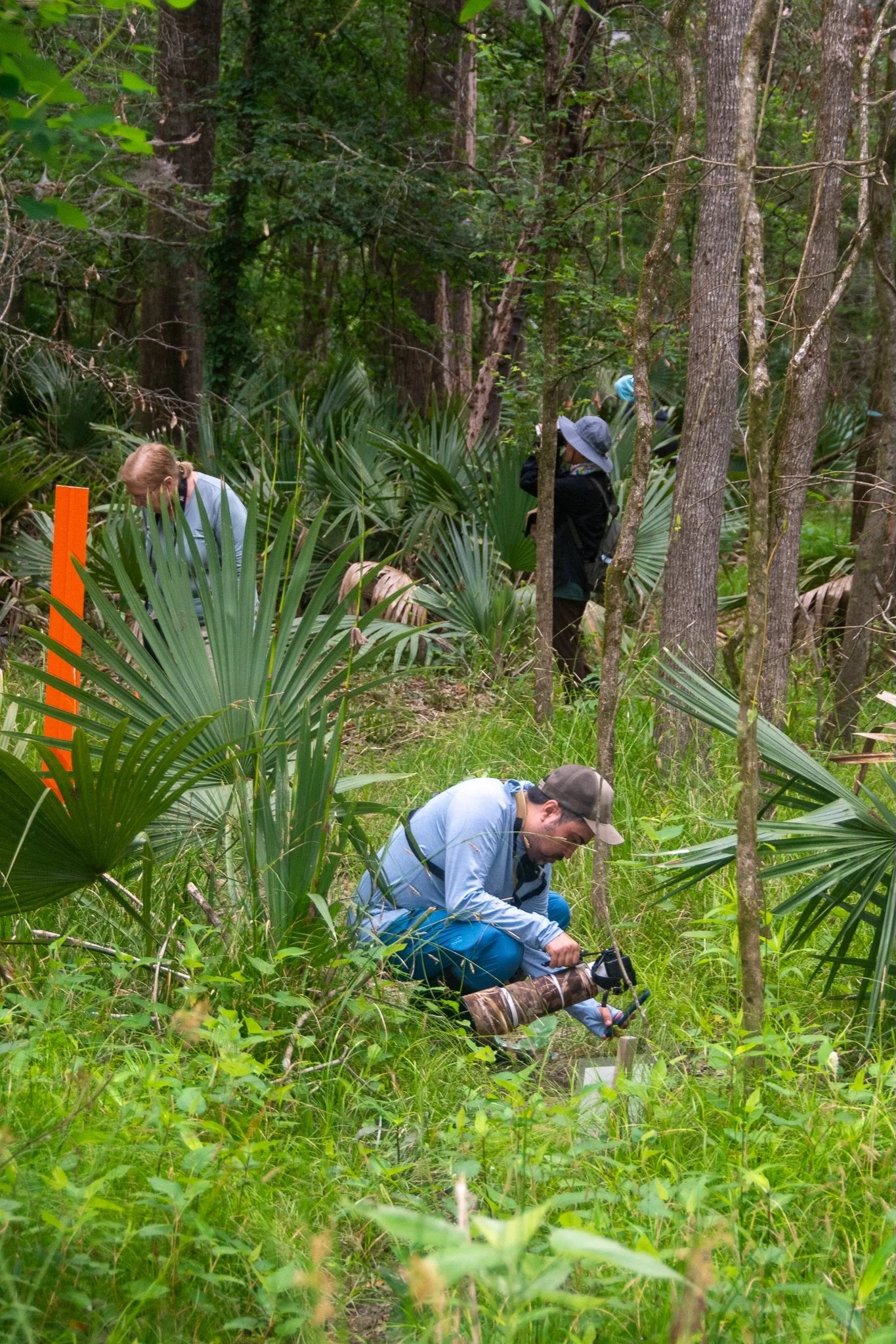 BioBlitz at Amite River Audubon Sanctuary