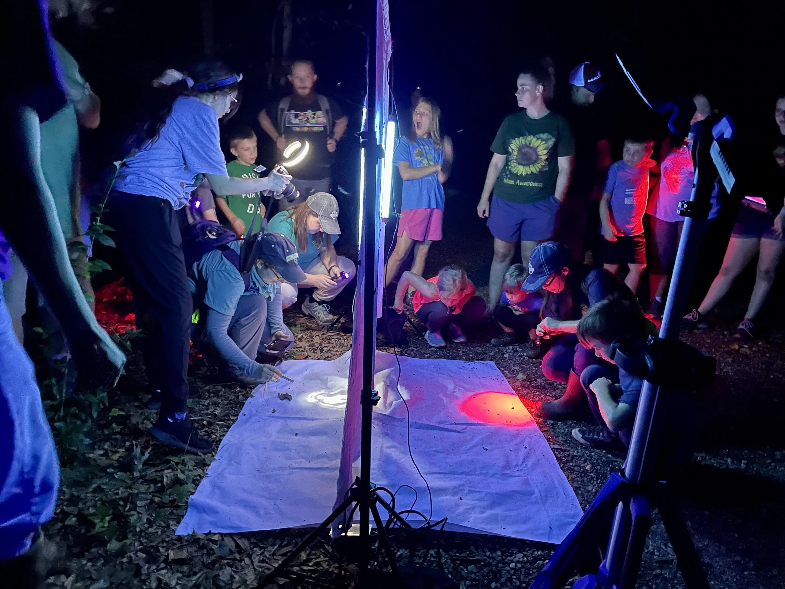 Light sheet stop during BREC night hike at Manchac Park