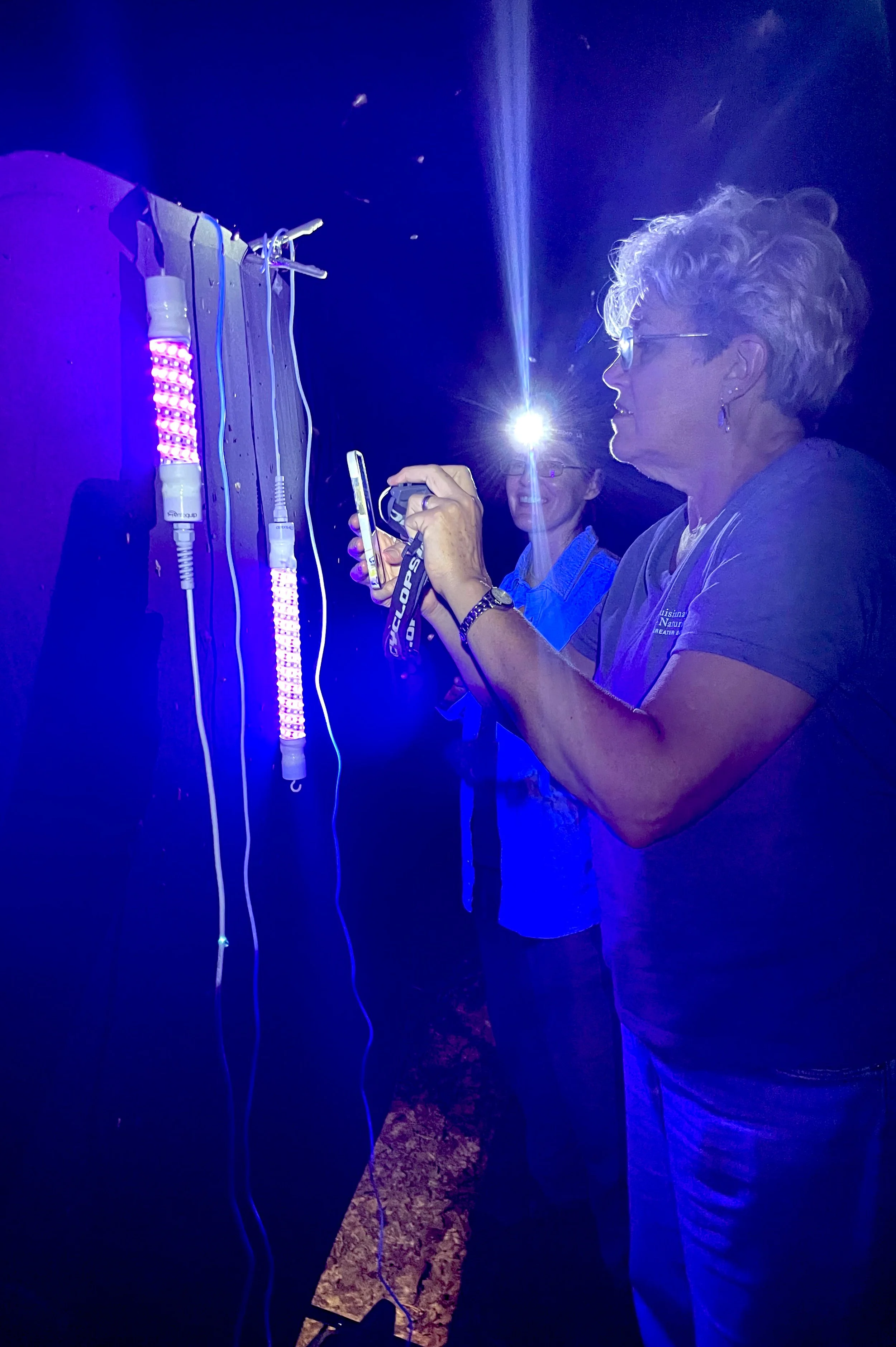 Light night at BREC Frenchtown Conservation Area