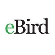 eBird logo