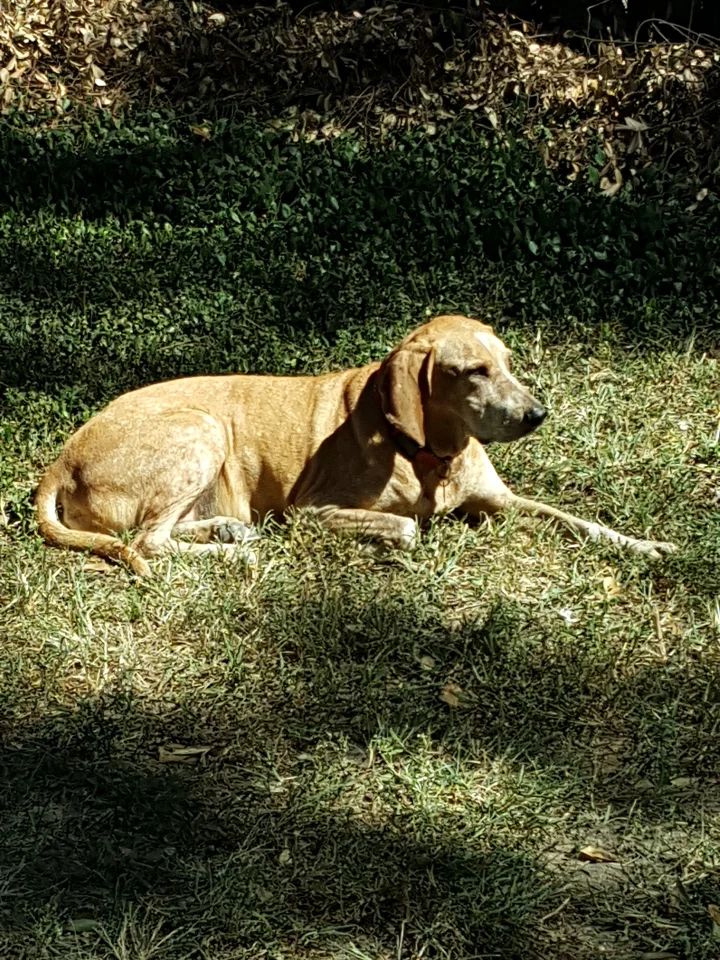 The First Post on the New Format