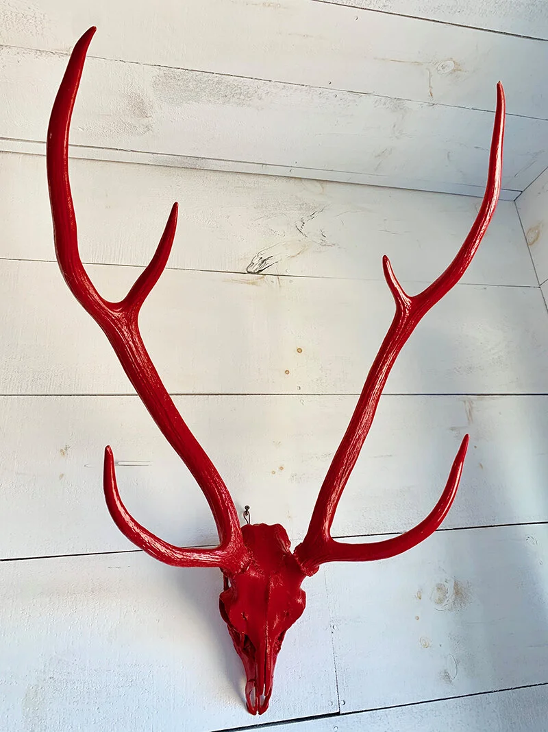 Deer.JPG