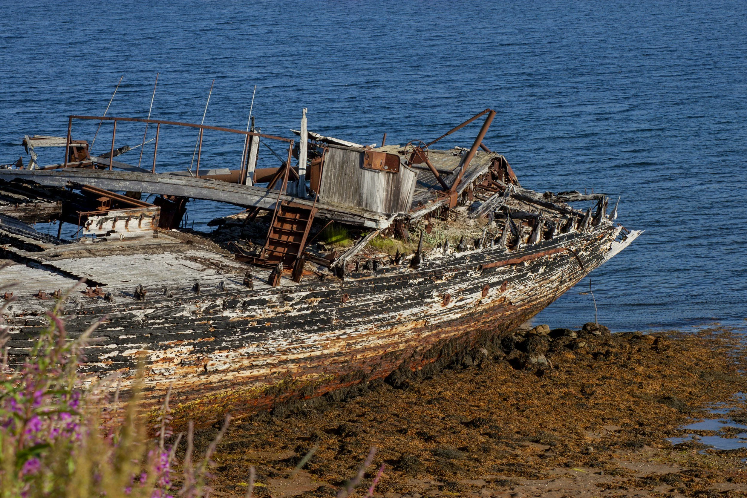 Lyschel Hartway 06/22/25 - Shipwrecked on Malta